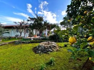 Il Giardino di Bea - Accogliente villa all'aperto - Supersano