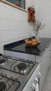 Curta a terra dos Dinos na casa verde