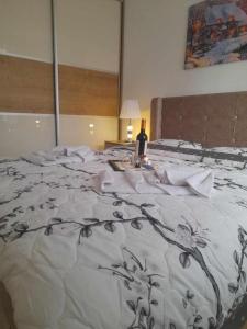 Apartman Dragovic