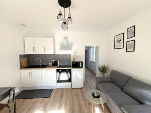 Appartements Maison Cosy a Saint-Dizier : photos des chambres