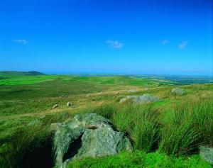 Penalltcych Farmhouse Abercych