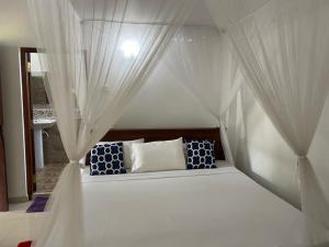 New Bimal Villa