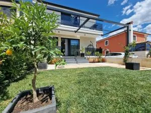 Alessandra D'or - 卡里高多