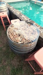 Maisons de vacances Maison 6p, 3ch, piscine, jacuzzi, cuisine d'ete, jardin clos : photos des chambres