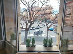 House Rosemary by Holiday World