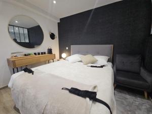 Appartements Secret Room Spa Agde : photos des chambres
