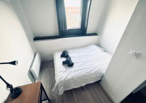 NOUVEAU! Centre Lille T3 WiFi, TV, Proche Centre Ville