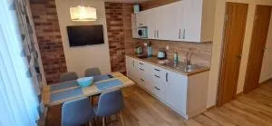 Penzion Buriánkovi - 赫洛霍韦茨