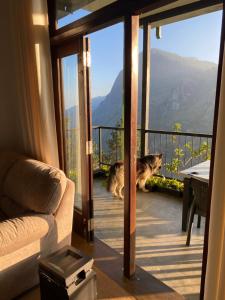 Star Gaze Lodge