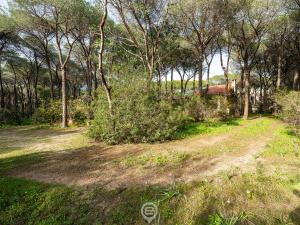 Seaside Pineta Retreat img39