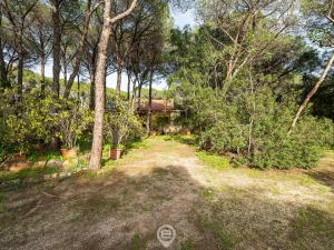 Seaside Pineta Retreat img37