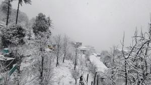 त्रिnity homestay