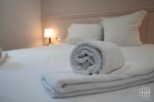 Appartements Ambra - Chateau d'Amboise : photos des chambres