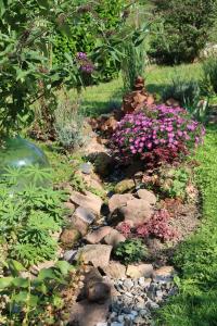 FEWO Odenwald - Anna