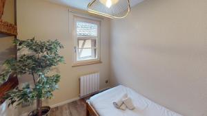 Appartements Appartement clin d oeil au centre d Obernai : photos des chambres