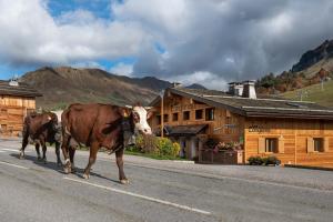 Chalets Les Congeres : photos des chambres