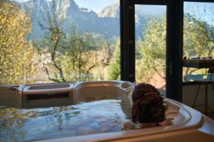 Chalet & Spa Maestrul si Margareta