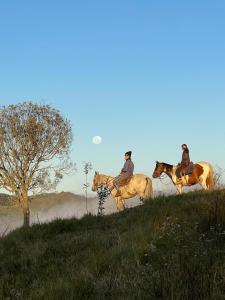 Sitio Ahimsa Cunha SP - Casa Familia na Montanha - Refúgio na natureza com rio, trilhas e passeios a cavalo - Vizinhos do parque estadual da serra do mar - Acesso pela estrada que conecta Parati-RJ e Cunha-SP