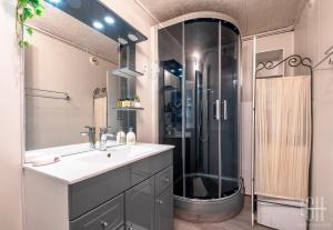 Appartements GITE RABELAIS - A 5MIN DU CHATEAU D'AMBOISE : photos des chambres