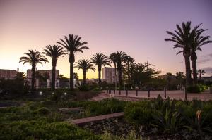 Knightsbridge Luxury Apartments