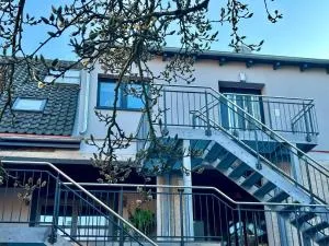 Ferienwohnungen GoJa - Leinach