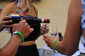 Agriturismo Viticcio