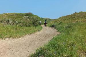 Zentrale Wohnung in der Villa Liewald mit Terrasse und Glasfaseranschluss