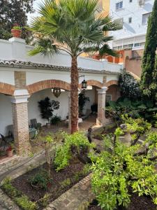 Garden Suites Xativa Casa Rural