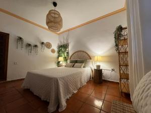 obrázek - Garden Suites Xativa