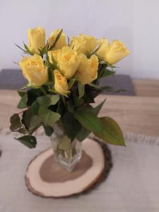 Allgäu Loft Bergzeit