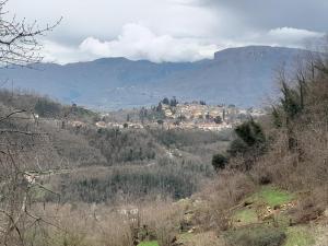 Appartamento ai Domenichetti