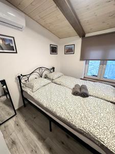 Apartamenty Piernikowy Kącik - Rynek Nowomiejski