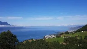 La Pergola - Caux