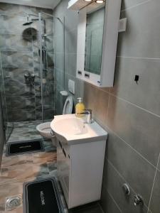 Stan na dan Jovana Šid