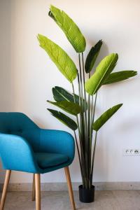 Appartements Escapade a Monaco, appartement vue mer et plage : photos des chambres