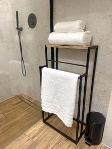 Apartament Ostoja Beskidy I9