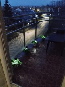 Apartman Lenka