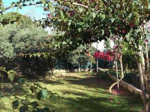 Villa Gabriella img9