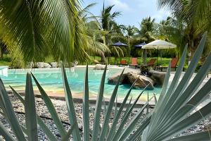 Casa Las Palmas Playa La Saladita