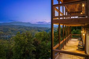 A Bears Poolside View