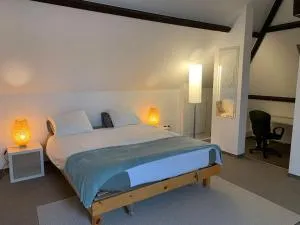 Appartement séparé avec parking dans villa - Grimbergen