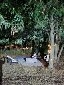 Cabaña mágica y granja en Ruta 5 sur