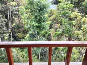 On The Rocks Bungalows, Restaurant and Jungle Trekking Tours - From May to September only stay here if you are booking jungle treks with us - feel free to contact us about our Jungle Trekking services