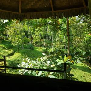 On The Rocks Bungalows, Restaurant and Jungle Trekking Tours