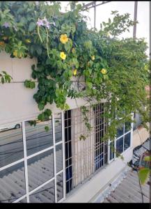 casa castillo san felipe