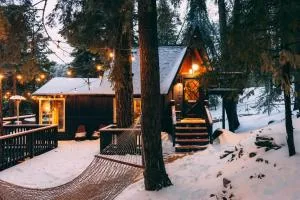 Mid-Century Cabin Perfect for Romantic Getaway - Running Springs