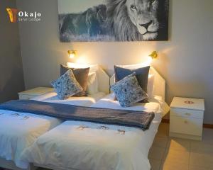 Okajo Safari Lodge