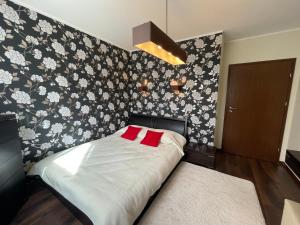 Apartament Słoneczny na Krzywej