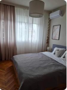 Specious Modern Apartment