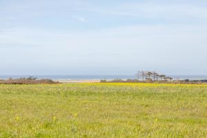 Maisons de vacances Belle grande maison vue mer : photos des chambres